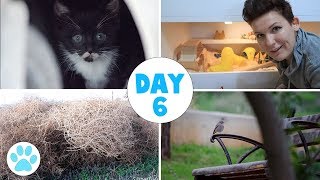 Snail Hunting Setting Up Osmiums Winter Cage Vlogstice 2017