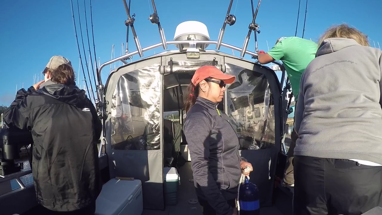 Neah Bay 2017 YouTube