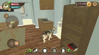 Dog Simulator - Dog Sim Animal Online LV 109 / Raise a Family Offline Android GamePlay by Mobbox US 166 views 1 month ago 14 minutes, 21 seconds