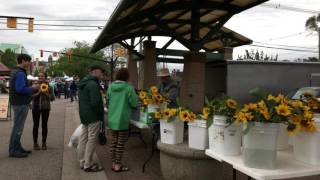 Holland Michigan FarmersMarket in 4k