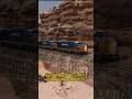 The Longest Train in the World