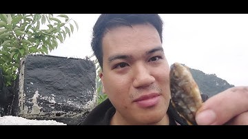 Chúng Tôi Đã Thử Cắm Trại Và Câu Cá Ở Đường Ba Biển - Kết Quả Bất Ngờ