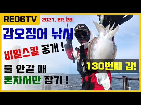 갑오징어낚시 - 새로운 스킬 공개! (물 안갈 때 혼자만 잡기)