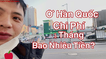 Chi Phí 1 Tháng Của Người Lao Động Ở Hàn Tốn Bao Nhiêu Tiền? | Sinh Vlog - Cuộc Sống Hàn Quốc