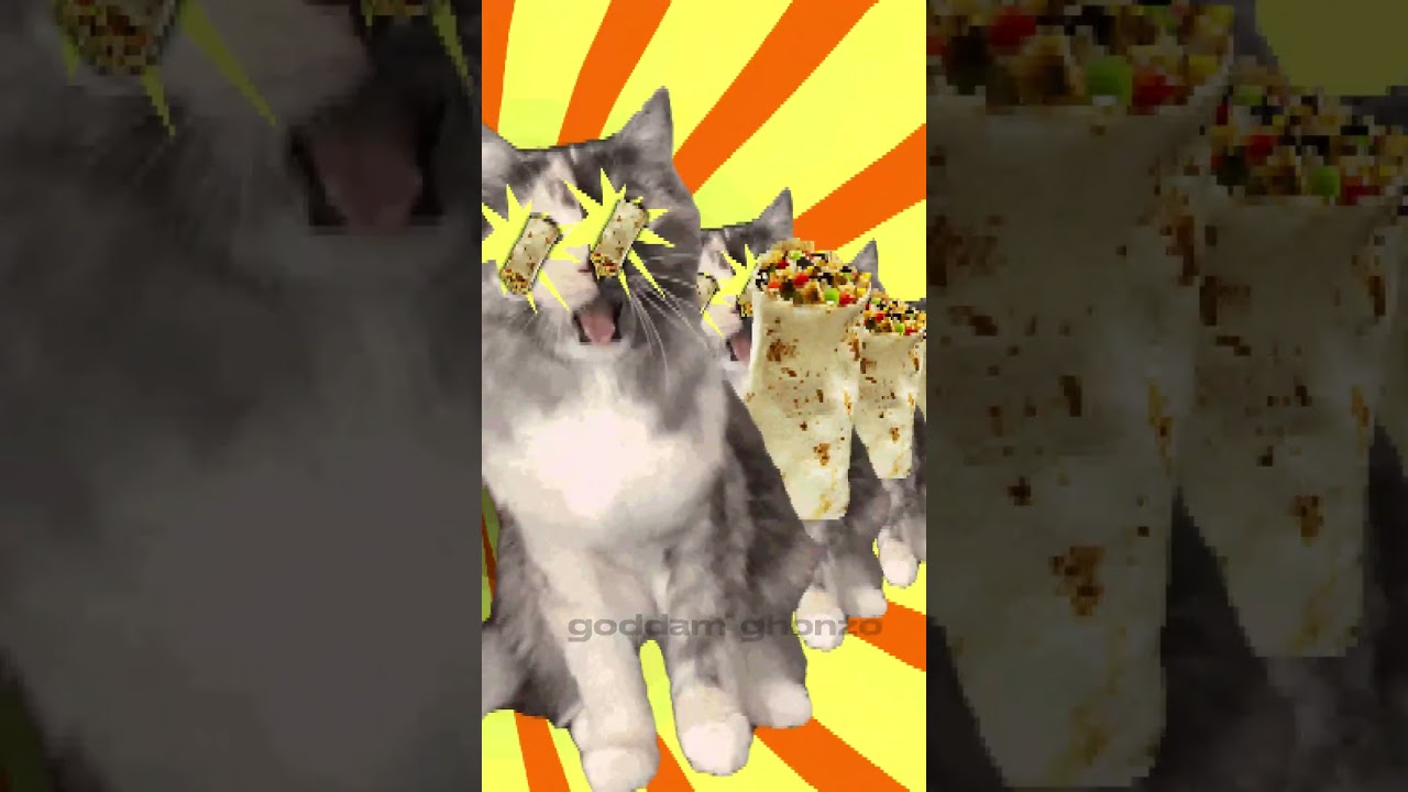 Can i haz burrito :P
