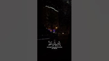 ﴿ما أصاب من مصيبة إلا بإذن الله﴾|التغابن: ١١ |القارئ: رعد الكردي