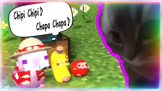 😍Pro Chipi Chipi Chapa Chapa Axolotl Be Like! 5😍