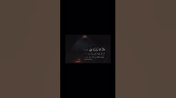 سورة آل عمران _ آية ٣٩ #اكسبلور
