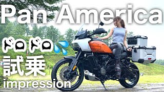 Pan America 1250 Specialを林道でドロドロにしてきました【試乗インプレ】