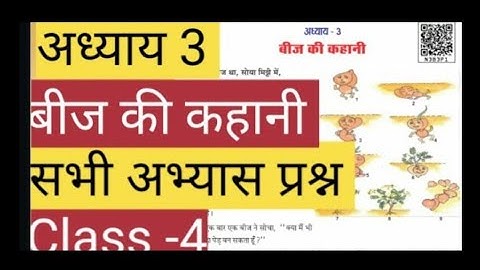 बीज की कहानी | EVS Class 4 Chapter   Explained in Hindi RBSE | Question Answers | अभ्यास प्रश्न