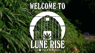 Welcome to Lune Rise Farms