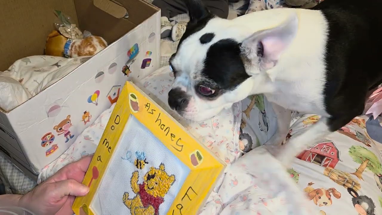 Счастливого, радостного письма! - @jondawalters - 23.12.25