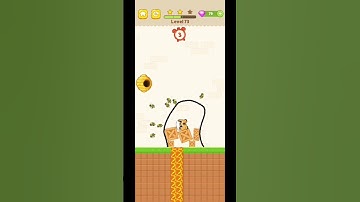 Save dog 🐶 level 73