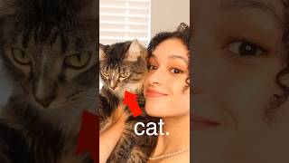 Download Lagu I Copied My Cat’s Makeup 😳 MP3