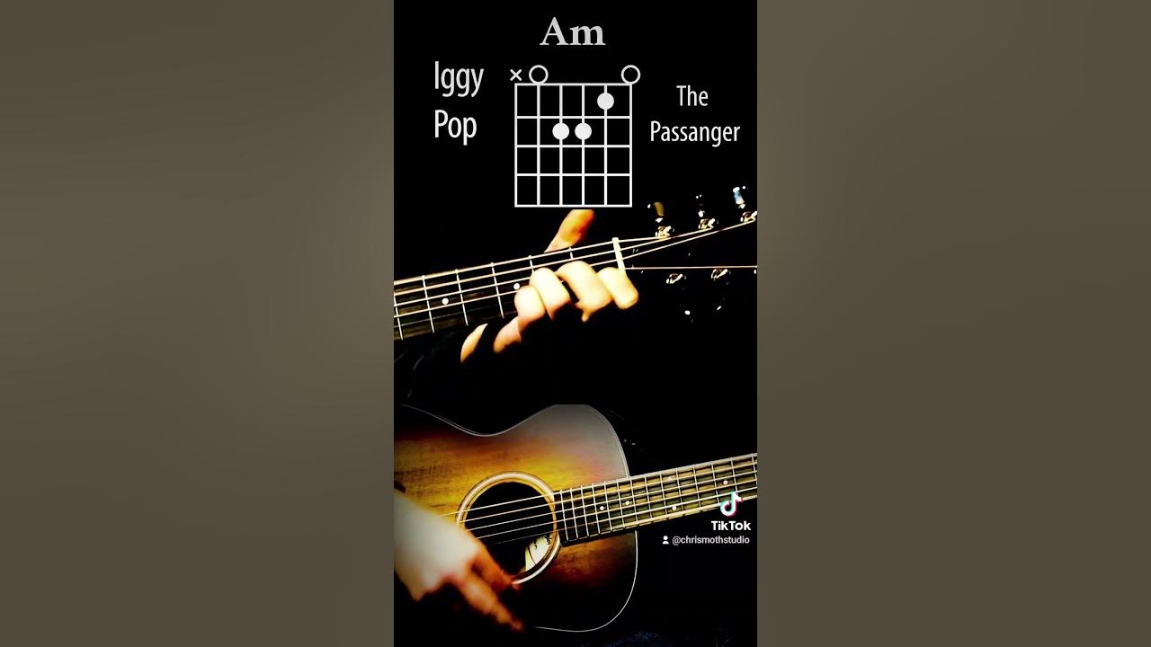 Iggy Pop - The Passenger #chords #guitarlesson #tutorial #acoustic #guitar #iggypip #thepassenger