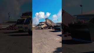 Dumping Sawit GMK