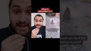 Puma Attacke Part 2 Part 1 Video Davor