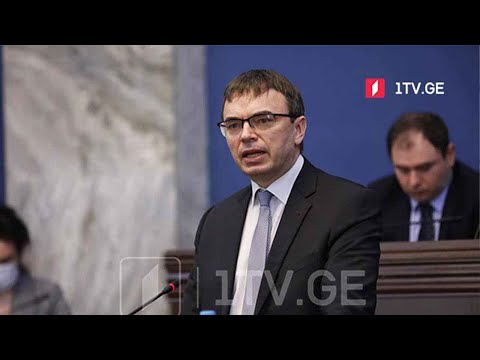 სვენ მიქსერი პარლამენტში შეხვედრებს მართავს