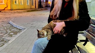 Cute cats living on the street. These cats are so beautiful