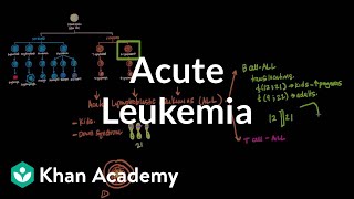 Acute leukemia | Hematologic System Diseases | NCLEX-RN | Khan Academy