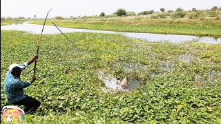 For The First Time 🎣 Stick Broken The Catching BiG Rohu Fishes unique Fishing Styles