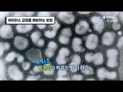 바이러스 감염을 예방하는 방법 / YTN 사이언스