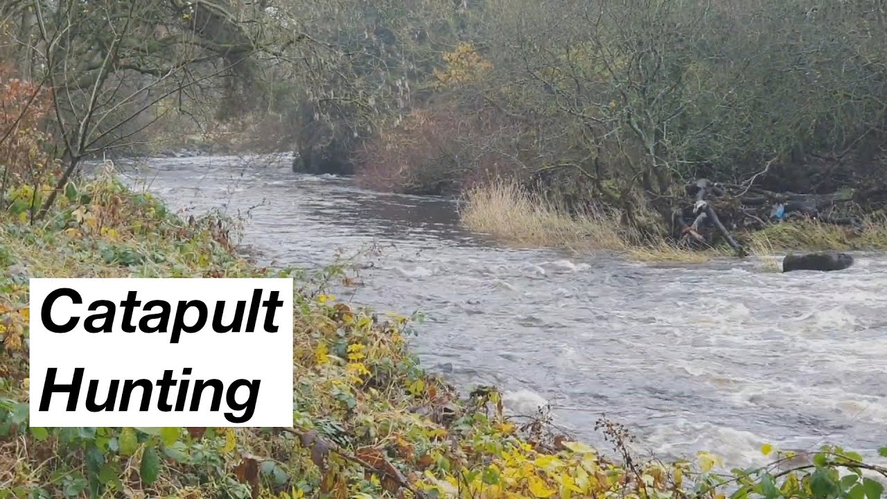 Catapult Hunting YouTube