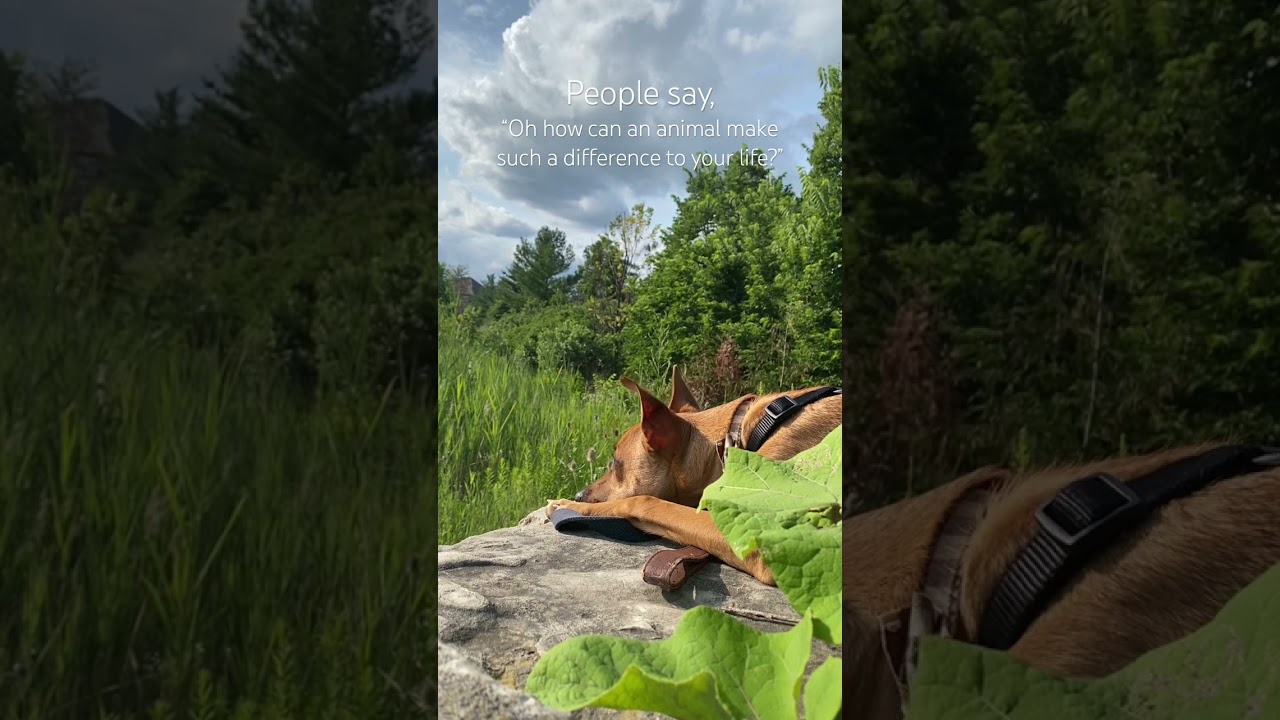 Who relates? :,)❤️ 