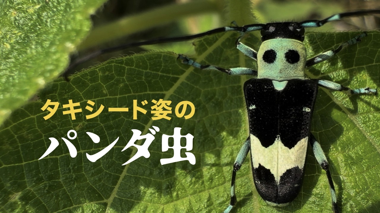Common Species] The 