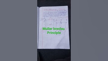 muller Breslau principal structure analysis