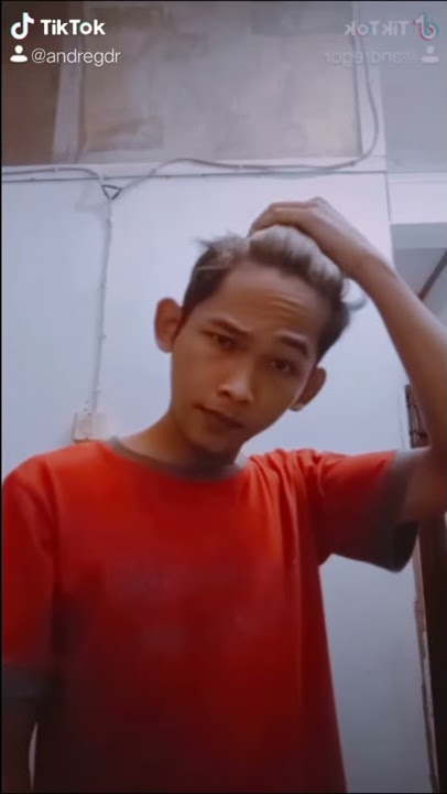 Tiktok viral 2020