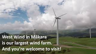Getting up close to the Mākara wind farm