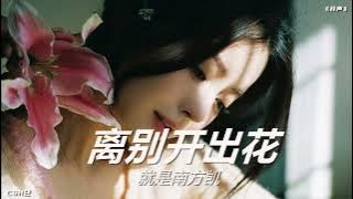 就是南方凯  –  离别开出花【铃声】