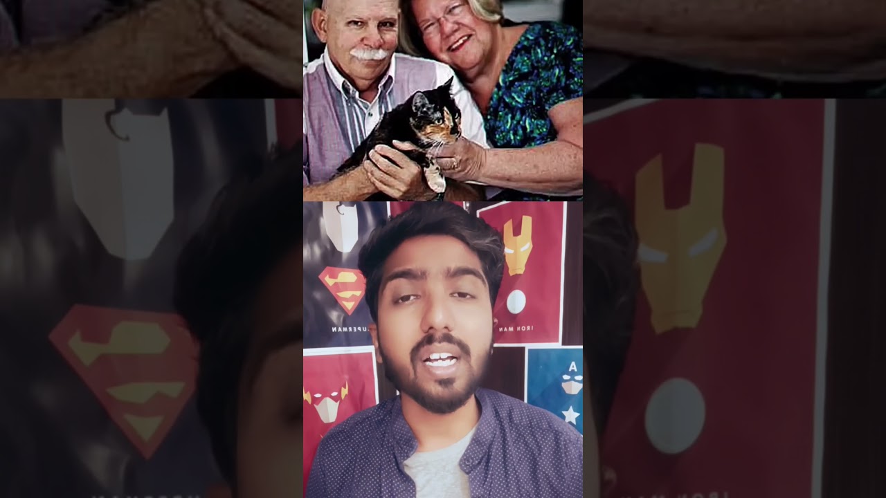 இந்த பூனையின் பயணம் பற்றி தெரியுமா உங்களுக்கு 