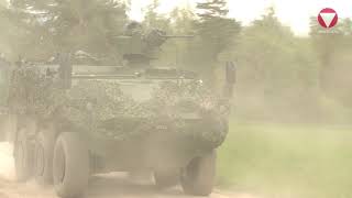 Jägerbataillon 17; Mannschaftstransportpanzer Pandur 