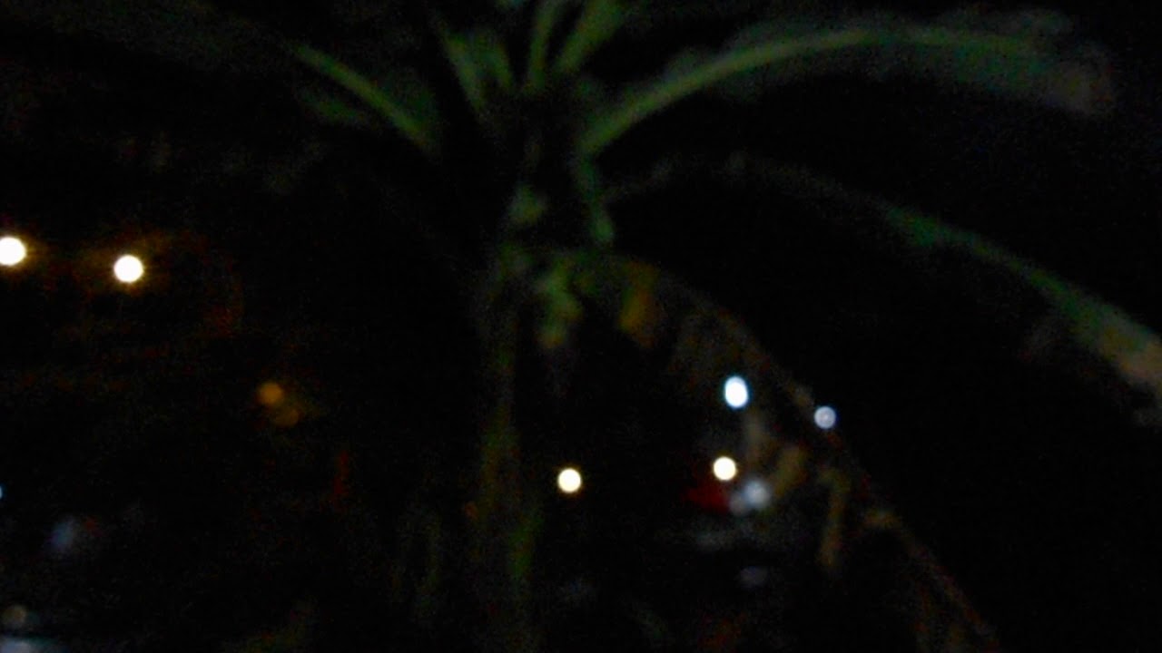 Liter Apple And Stars July 2017 DSCN9509 .avi