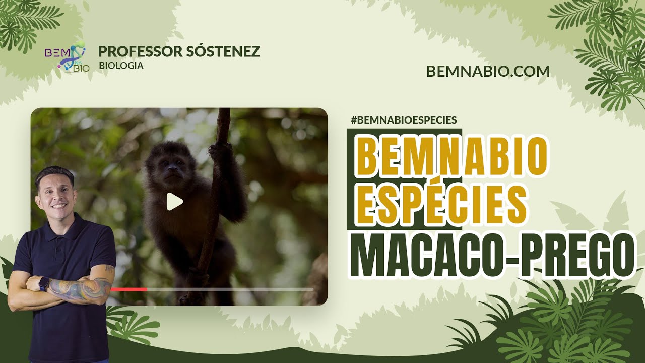 BemnaBIO Espécies - Macaco-Prego - EP.2