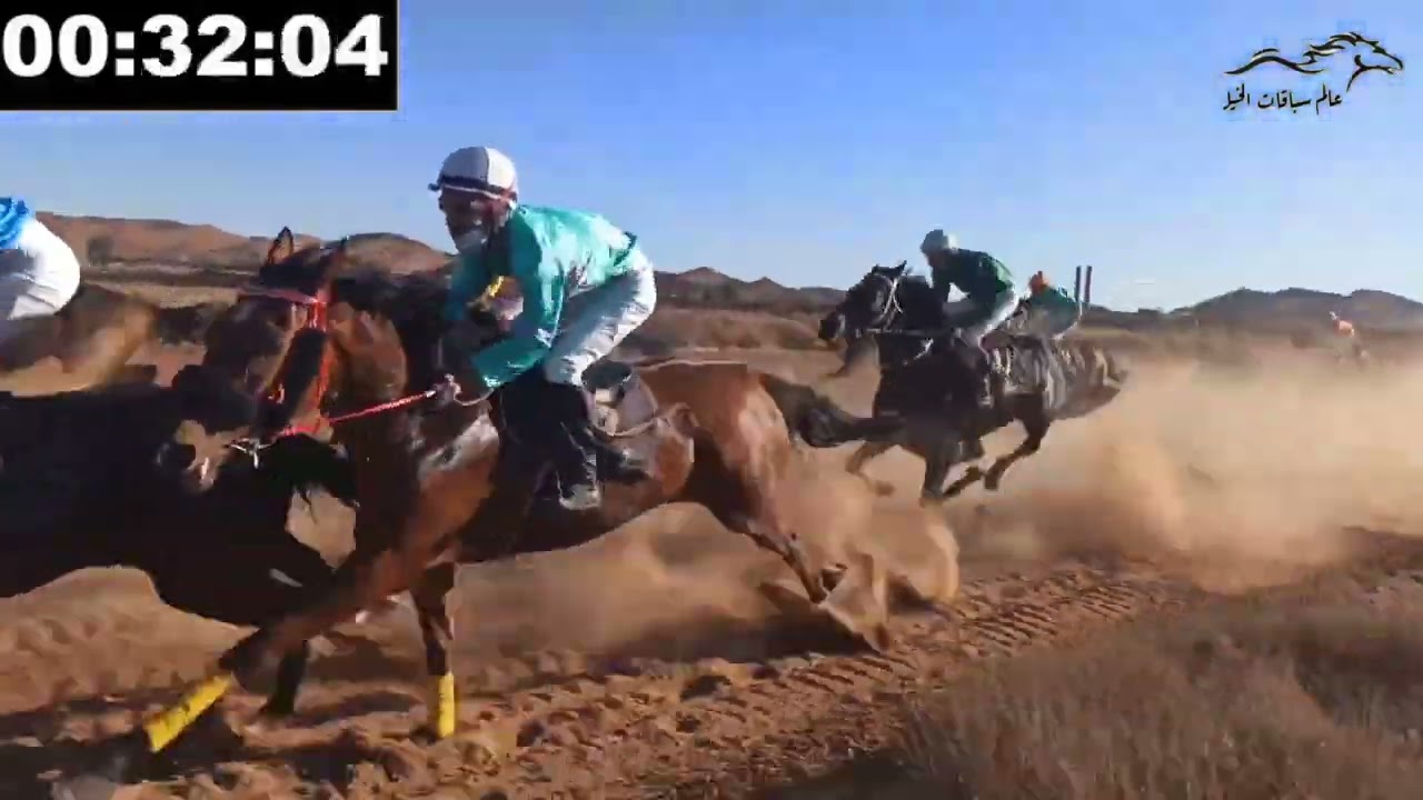سباق الخيل ليوم 12/01/2022المخصص للخيول الانجليزية المستوردة.