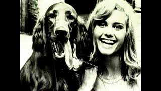 Olivia Newton-John - "Intimate Portrait" 1998