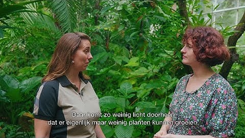 Klimaatles in de Hortus - Tropen - De bodemlaag