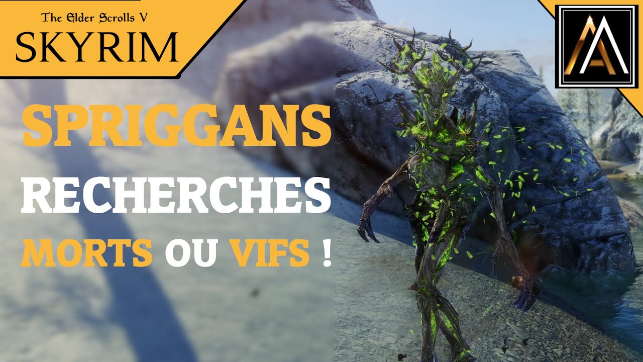 Let's Play Skyrim | Spriggans recherchés MORTS ou VIFS ! [FR] - YouTube