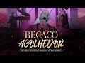 Regaço Acolhedor | DVD Ir Kelly Patrícia e exército de São Miguel - Hesed