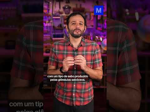 Vídeo: O que é cruit?