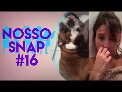 PETS DA PAVANELLI E JANNINI, MOMENTO THUG LIFE DA RACHEL APOLLONIO | NOSSO SNAP #16 - Mais um sábado de Nosso Snap por aqui.