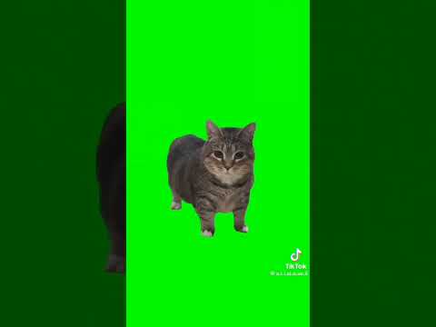 A U I I A U I I Meue