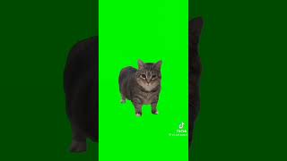 A.u.i.i A.u.i.i. Meue