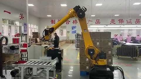 Robot gắp, xếp thùng tự động - Robot picks and stacks boxes automatically