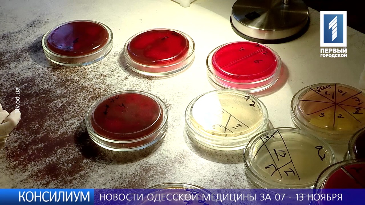 Выпуск от 16 ноября 2016 года