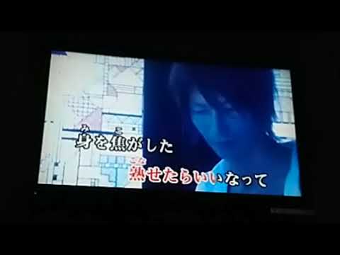 徒花の涙【歌ってみた(しどう×荒木)】