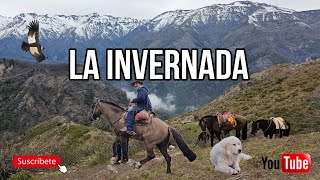 La Invernada Arrieros Cordillera de los Andes Capítulo 2 en Buscando Cabras en la Montaña la Suiza